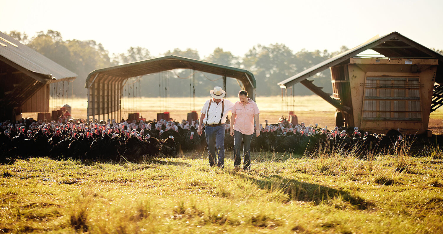 White Oak Pastures - regenerative farming